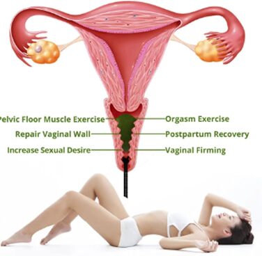 Яскравий тигровий очей - Яскравий камінь Yoni Jade Egg для жіночого здоров'я, масаж та фітнес