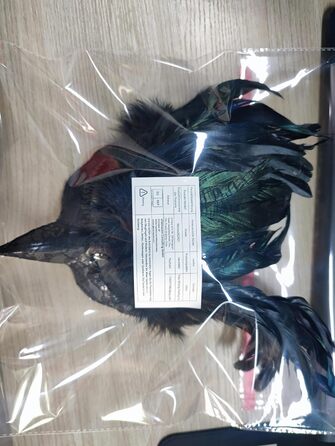 Венеціанська маска для жінок та чоловіків, маска для маскараду, маска з пір'ям, маска Равен для карнавалу, Фашинг, Хелловіну, косплею, аксесуари до костюма (зелена)