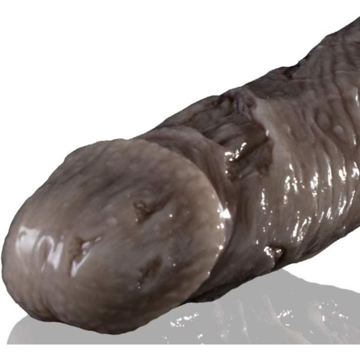 Fleshlight Freaks Zombie - реалістичний секс-іграшка з міцного силікону, 20,5 x 4,5 см