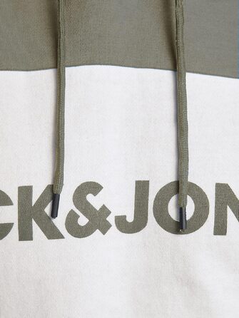 Чоловічий теплий худі з логотипом JACK & JONES Basic Kapuzen Sweatshirt, колір Dusty Olive, зелений